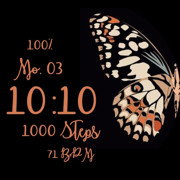 Butterfly