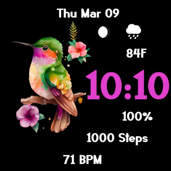 Hummingbird Free