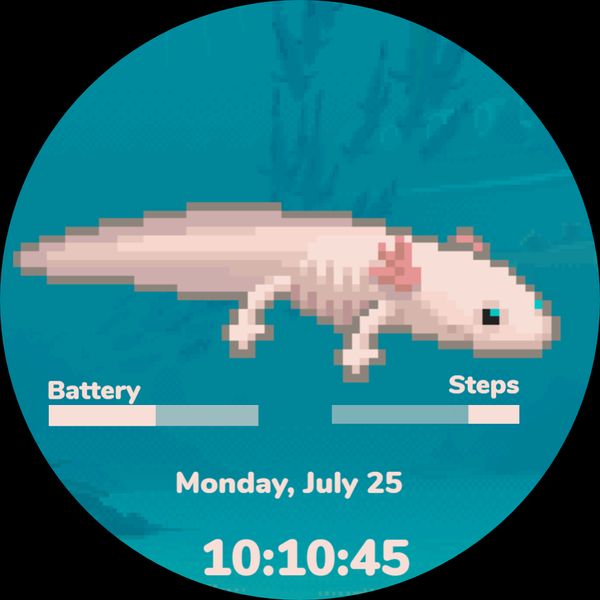 Axolotl