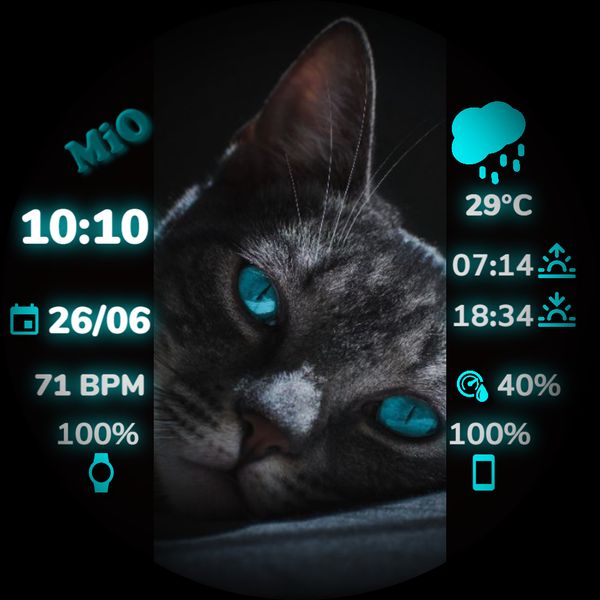 MiO GatitO 2
