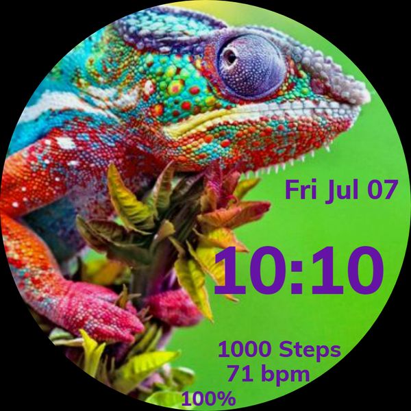 Colorful Gecko