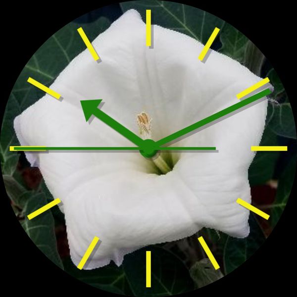 Moon Flower Bloom 2