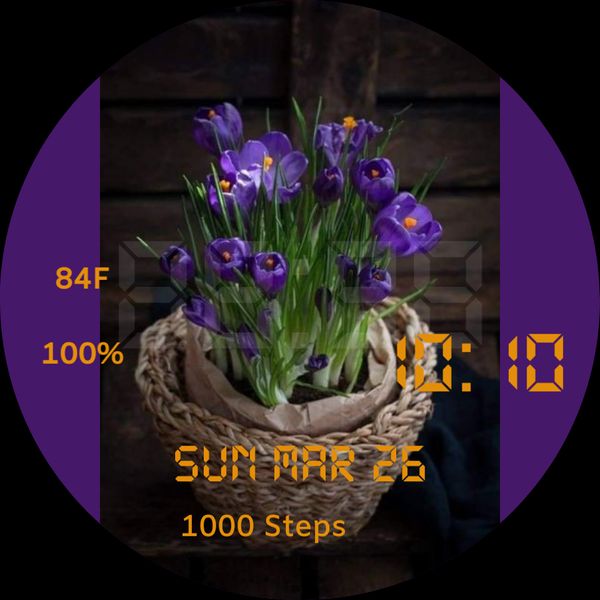 Spring Flowers