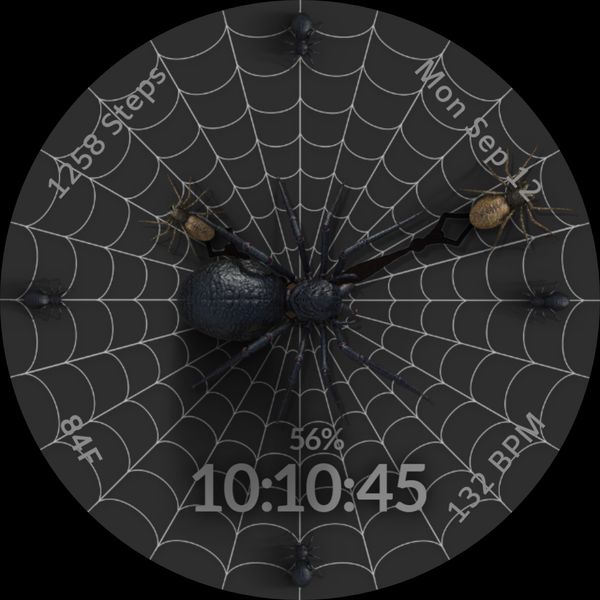 Spider Watch Face