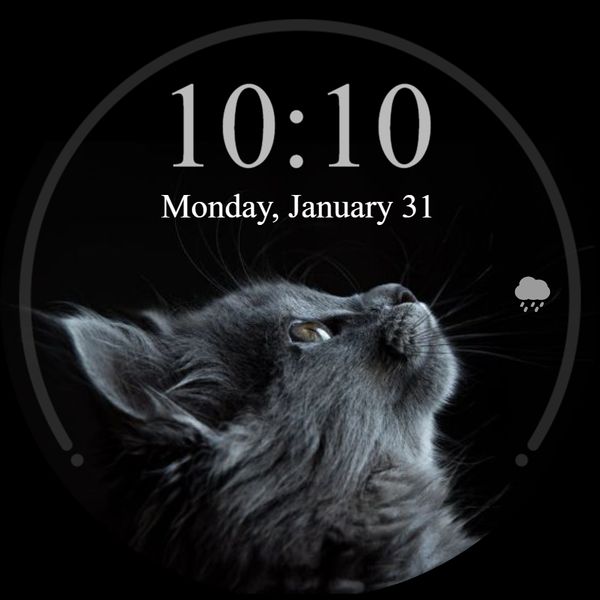 cat 1.0