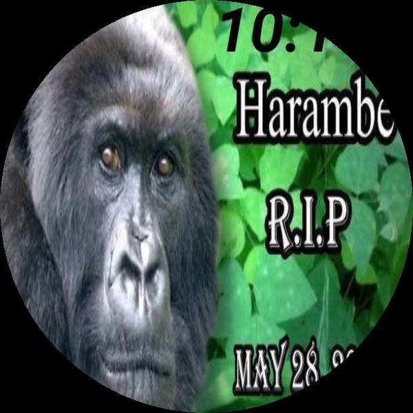 harambe 2.0