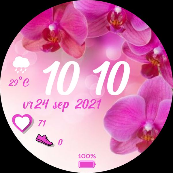 Pink Orchid