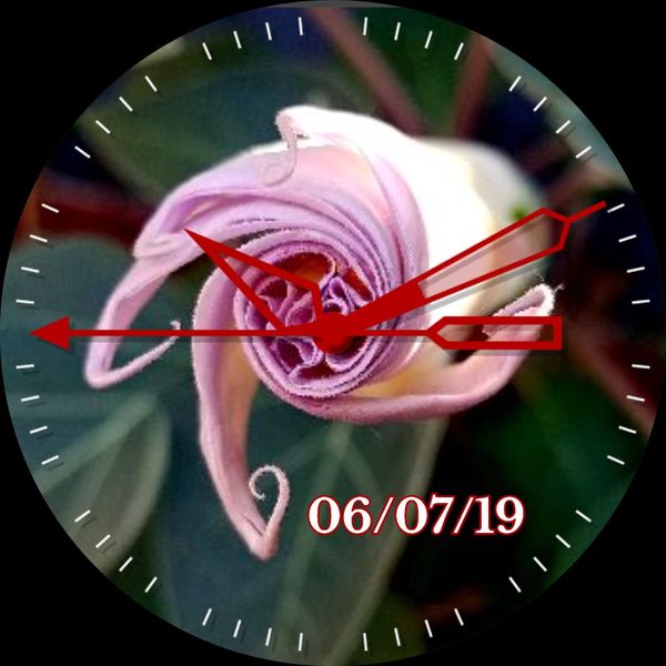 Moon Flower Spiral 1
