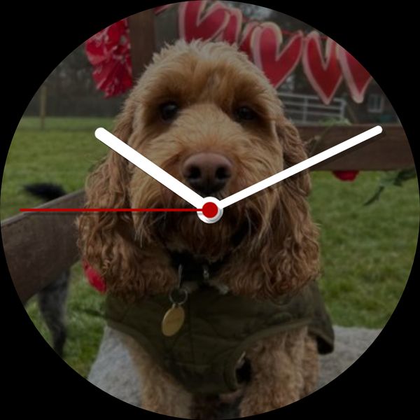 Cockapoo Clock
