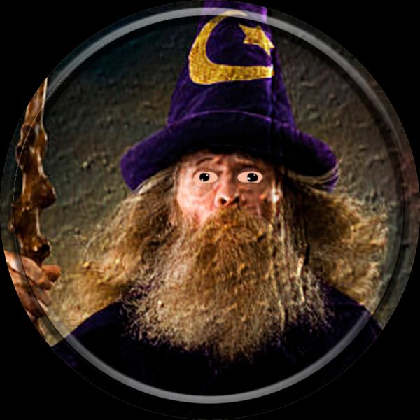 Merlin with Motion Sensor
