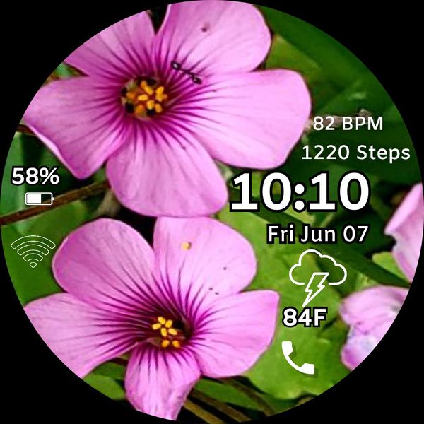Pink Flower 3