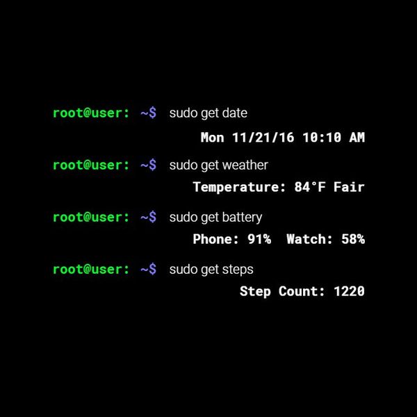 Linux Terminal