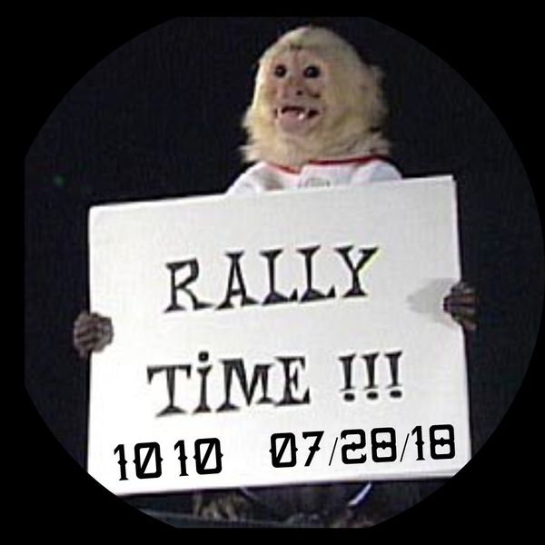 Angels' Rally Monkey