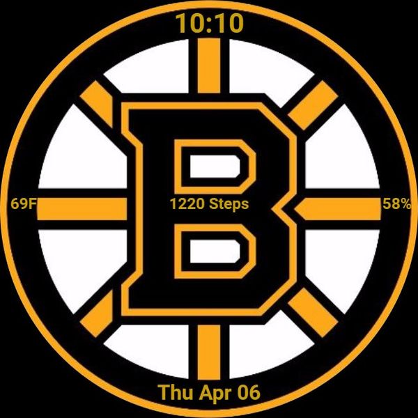 boston bruins