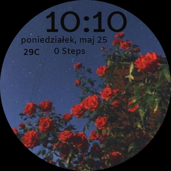 rose