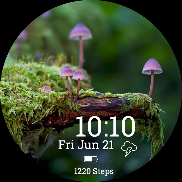 Mushroom