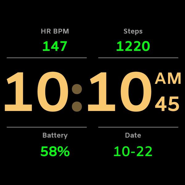 MAG 486 - Fitness Dashboard