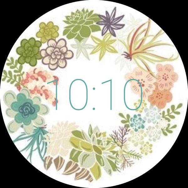 Succulent wreath