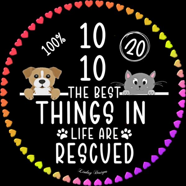 🐶The Best Things