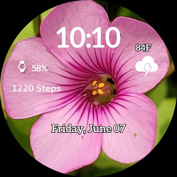 Pink Flower 1