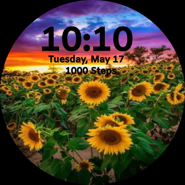 Sunflower Sunset