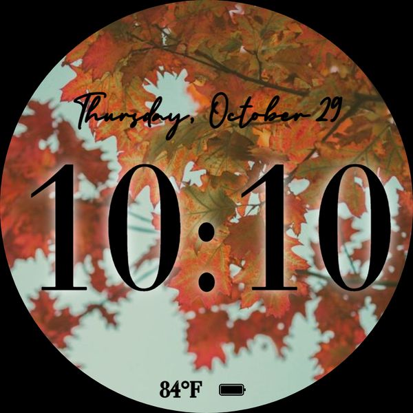 Fall Vibes