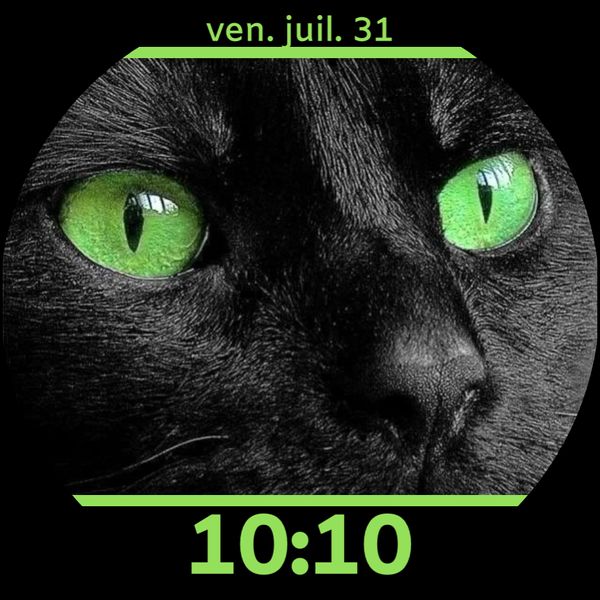Black cat green eyes chat noir