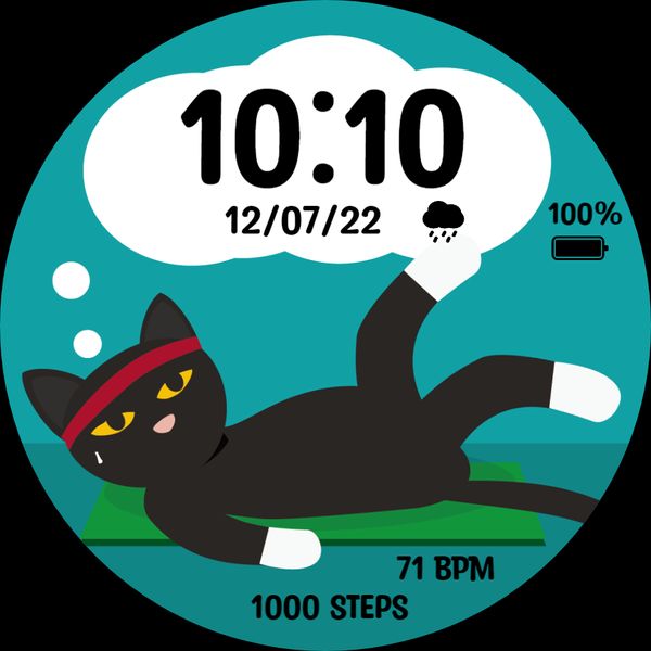 JC-Exercise cat