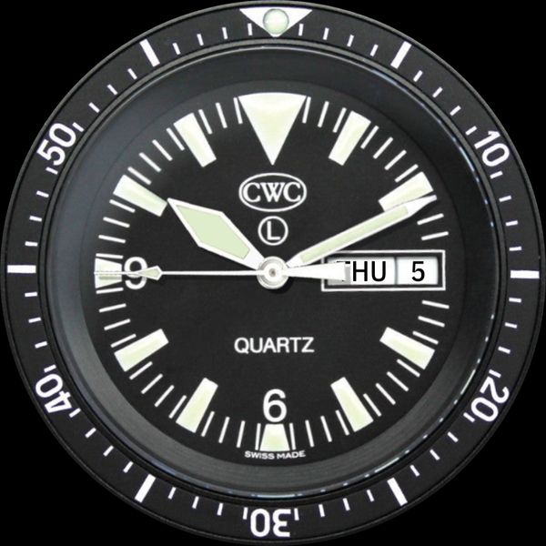 CWC SBS Diver Issue Watch
