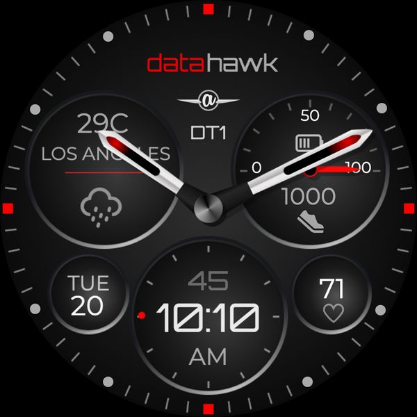 Data Hawk DT1
