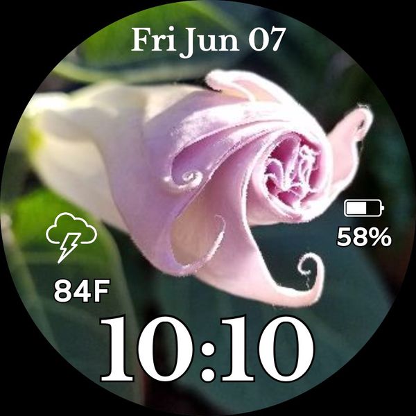 Moon Flower Spiral 3