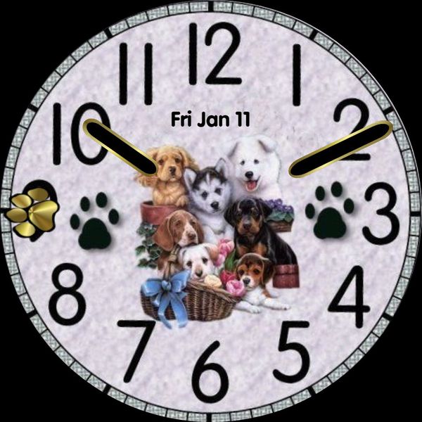Dogs