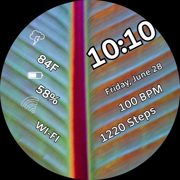 Leaf 01