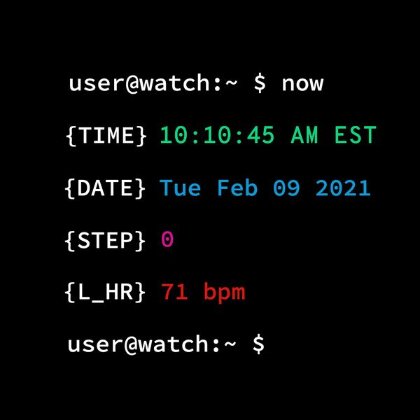 SB Linux Terminal