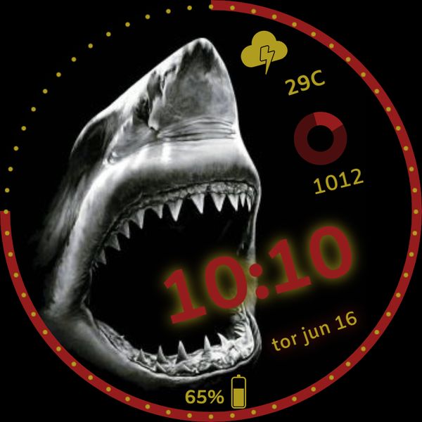 Shark WF A.B.J