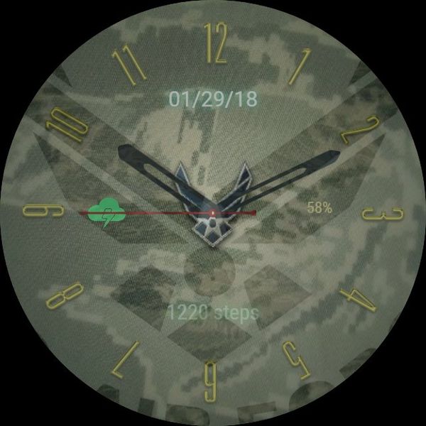 Air Force Camo