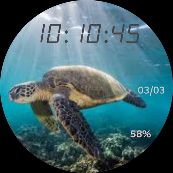 Sea Turtle II