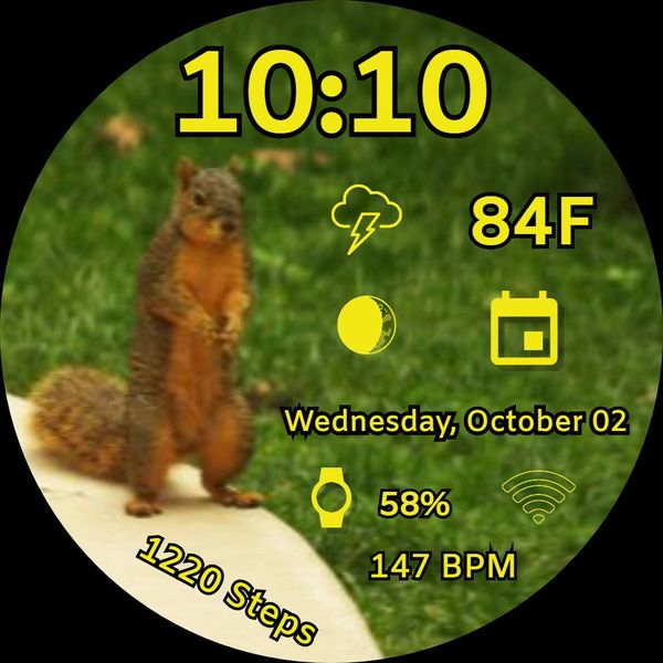 Squirrel Time 01