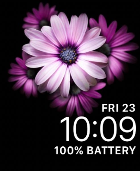 Flower VI