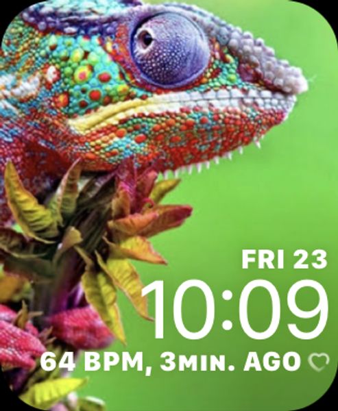 Chameleon