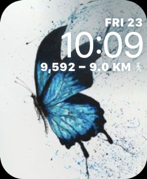 Blue butterfly