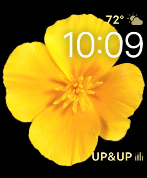 Flower Motion