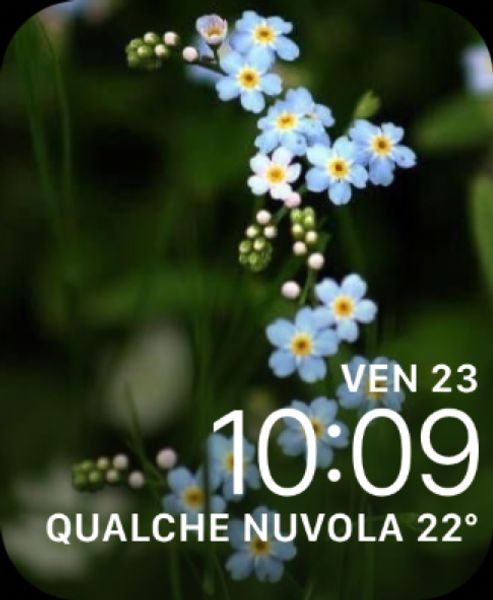 Blue flower