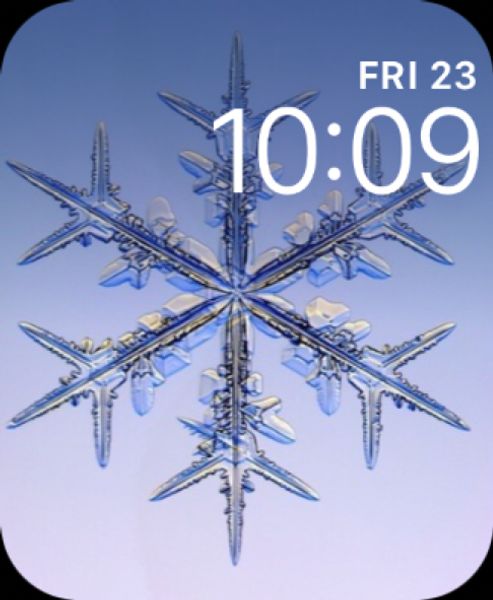 Snowflakes #3