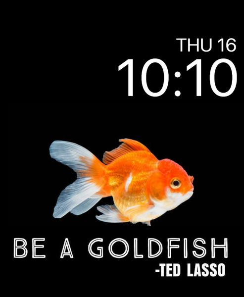 goldfish