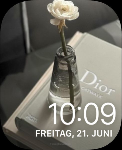 Dior and a white rose