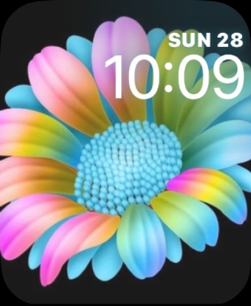 Pretty Flower