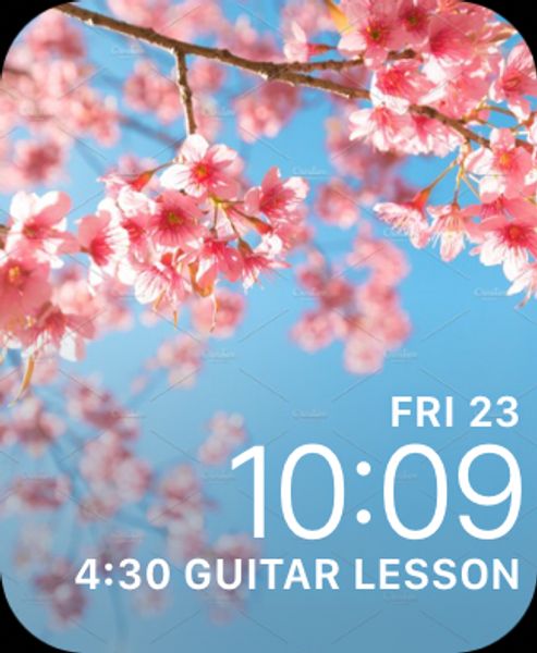 Cherry Blossom Tree: Life
