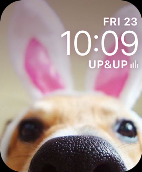 Easter Doggie