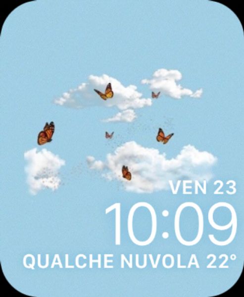 Butterfly